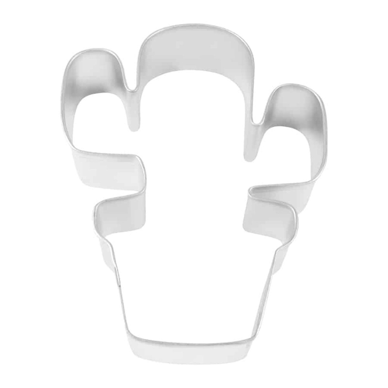 R&M Cookie Cutter Cactus in Pot 4'