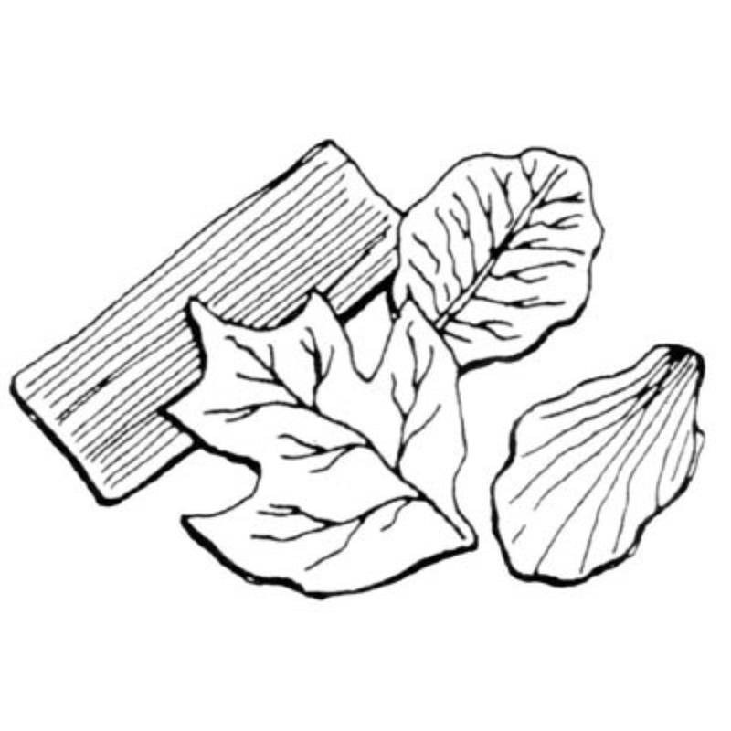 FMM Leaf Veiner Set of 4