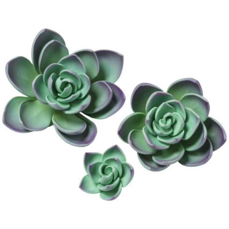 161- Purple Succulents 3Pc