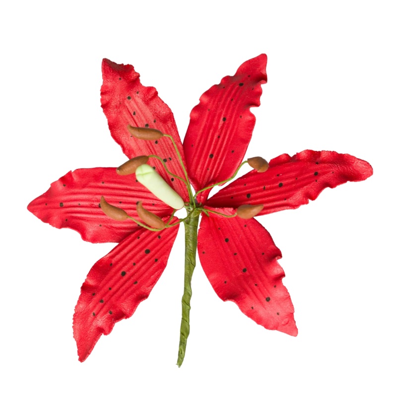 162- 4' Lily (Lilium) - Red