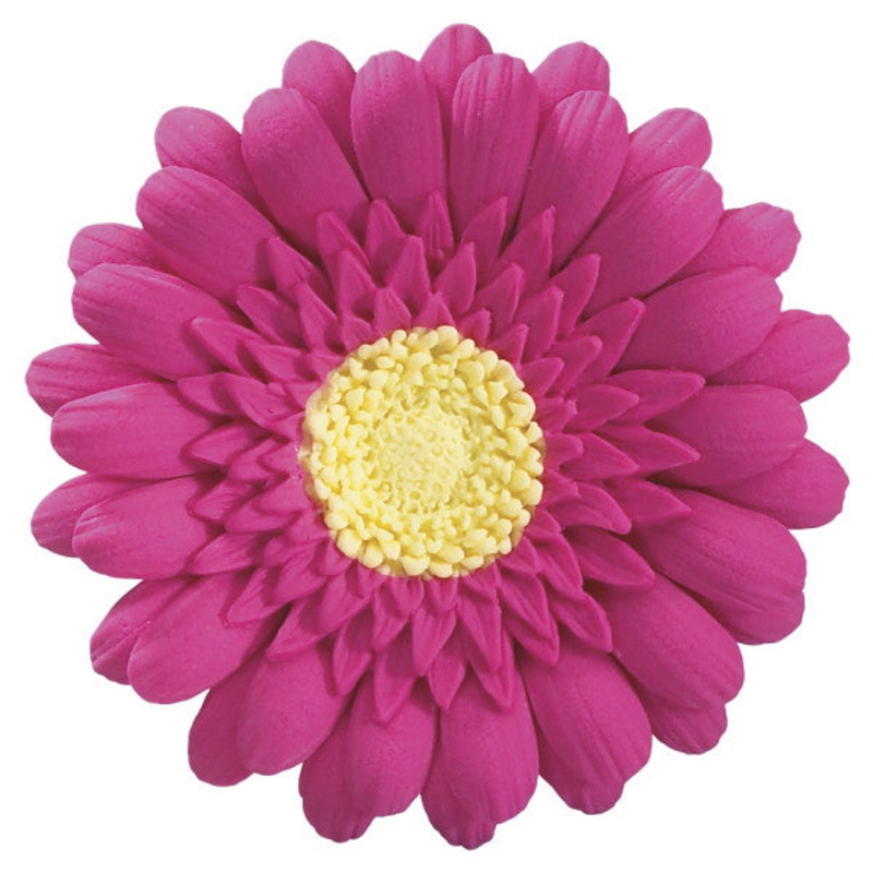 166- Hot Pink Gerbera Daisy