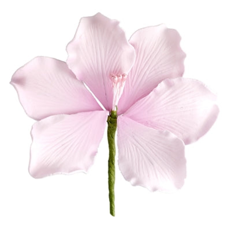 167PK- Gladiola - Pink