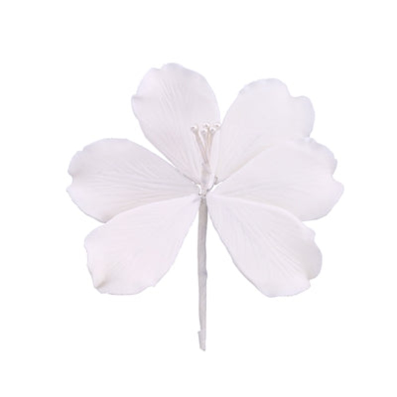 167WH- Gladiola - White