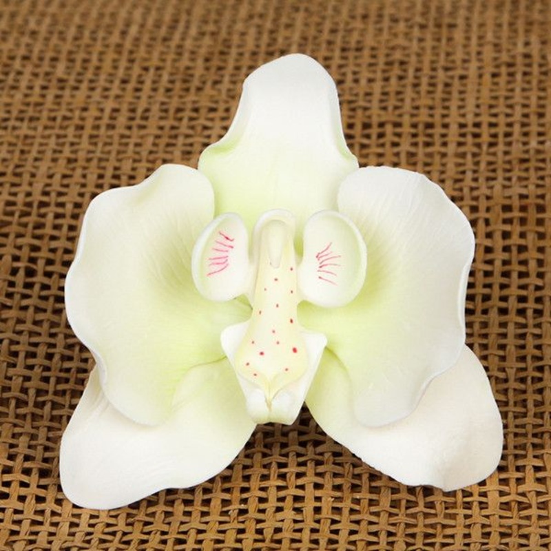 168- Single Moth Orchid - White