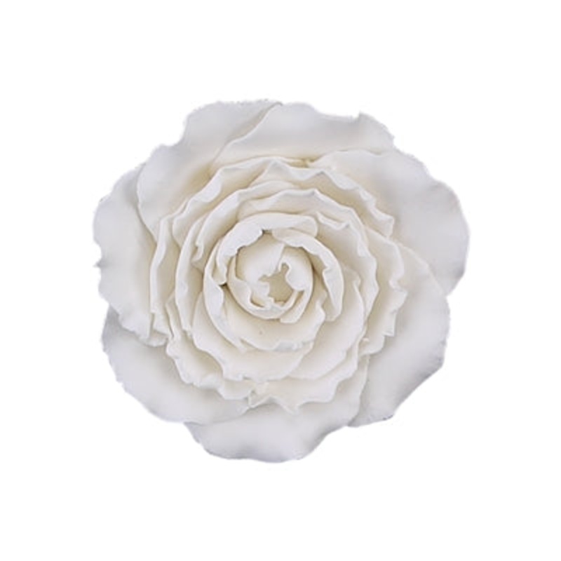 171- Xl Ranunculus On A Wire