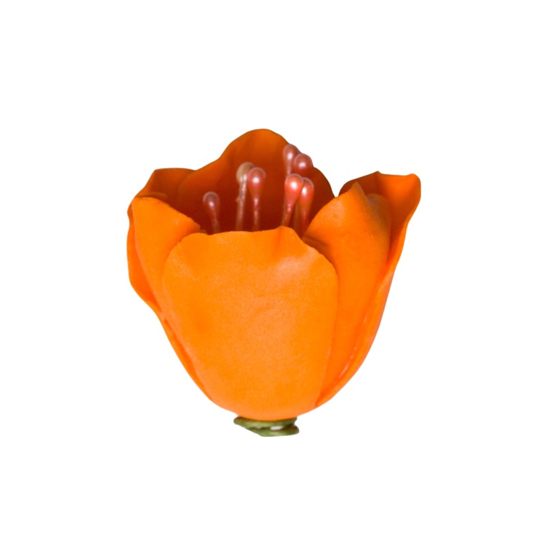 176OR- 1' Tulip - Orange