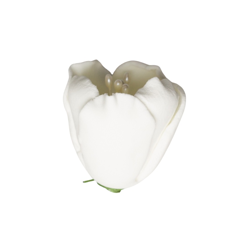176WH- 1' Tulip - White