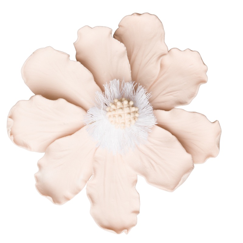 179PK- 4' Elegant Anemone - Pale Pink