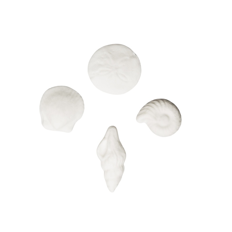 182- Seashell Assortment 4pc