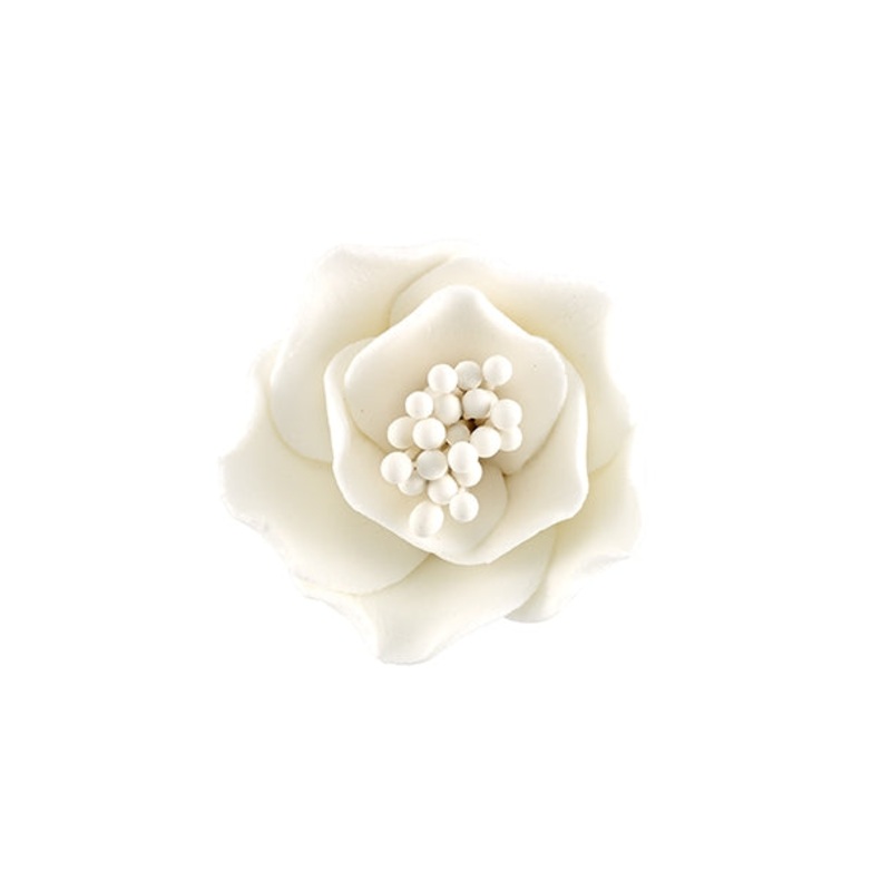 205- Briar Rose On A Wire - Med-Lg