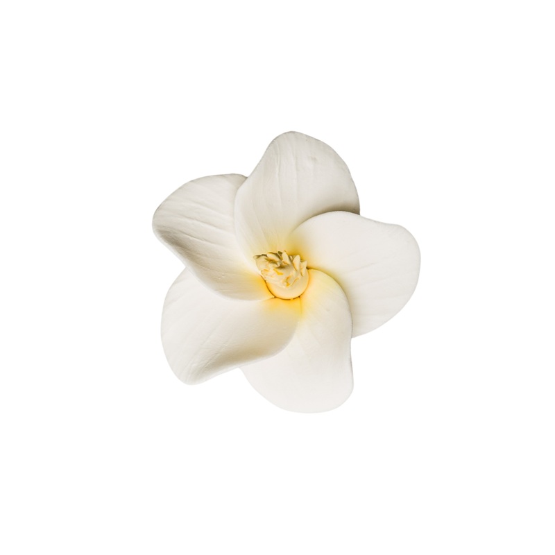 211- 2.5' Hibiscus - White