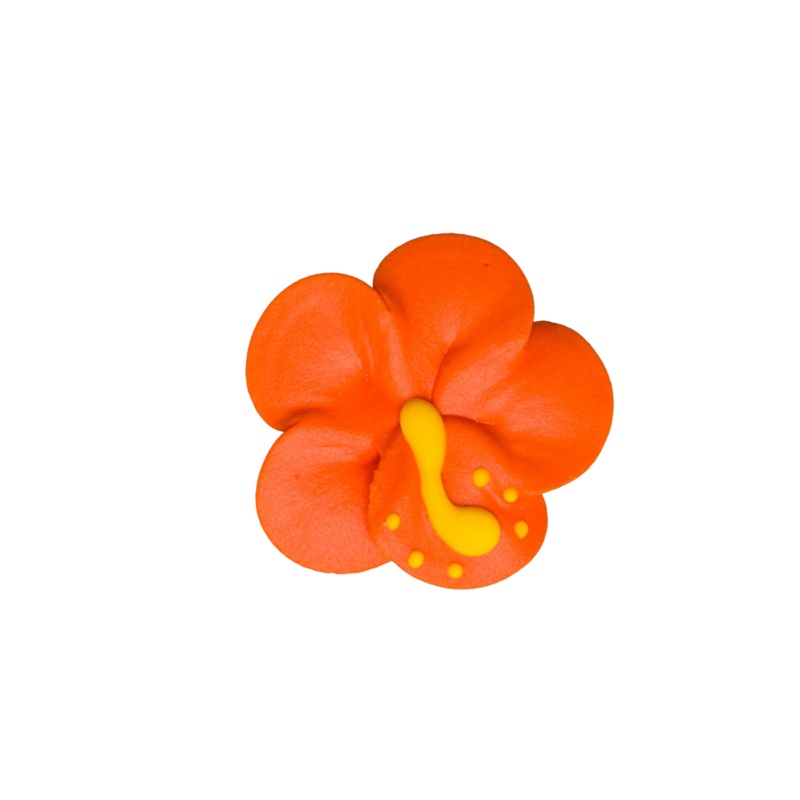 215OR- 1.75' Royal Hibiscus - Orange