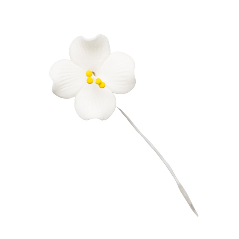 125- 1.25' Browallia - White