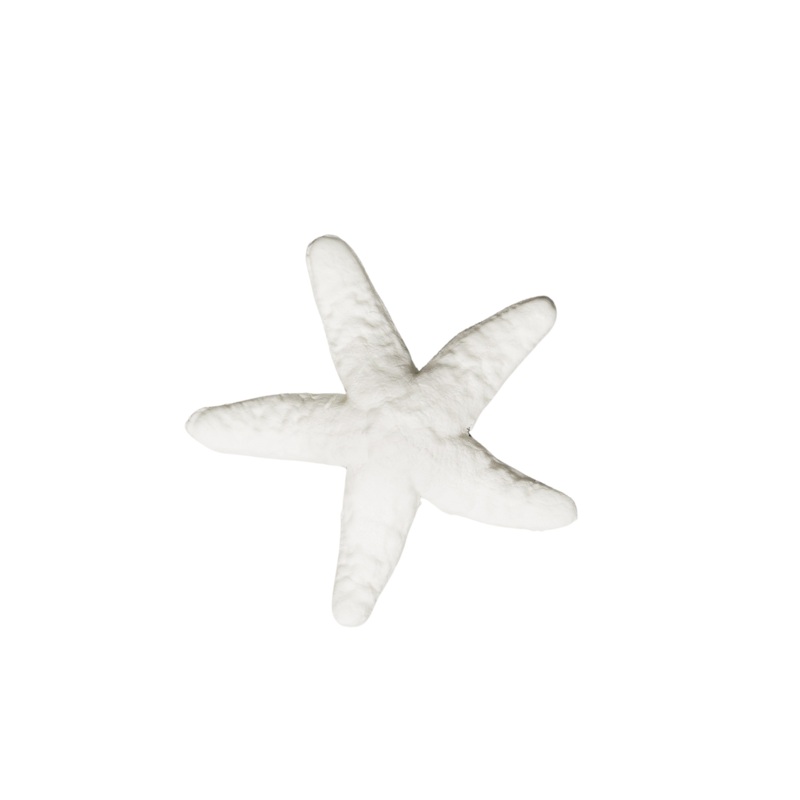 218- Starfish 3'