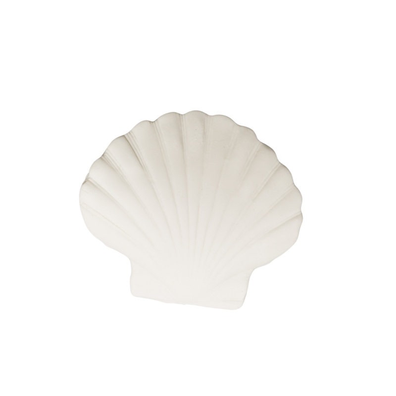 219-Large Clam Shell 3.5'