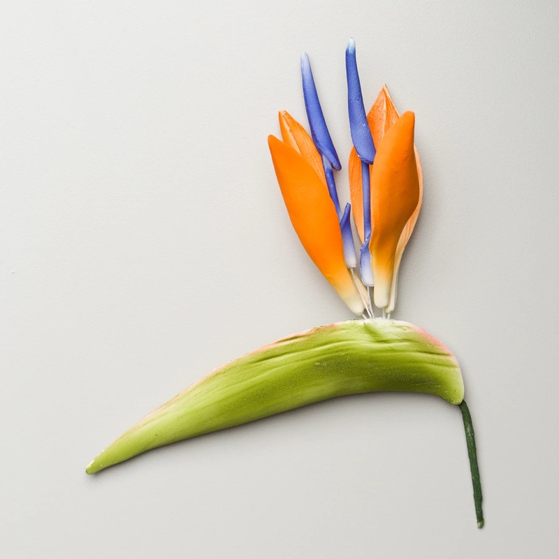 4.75' Bird Of Paradise #4