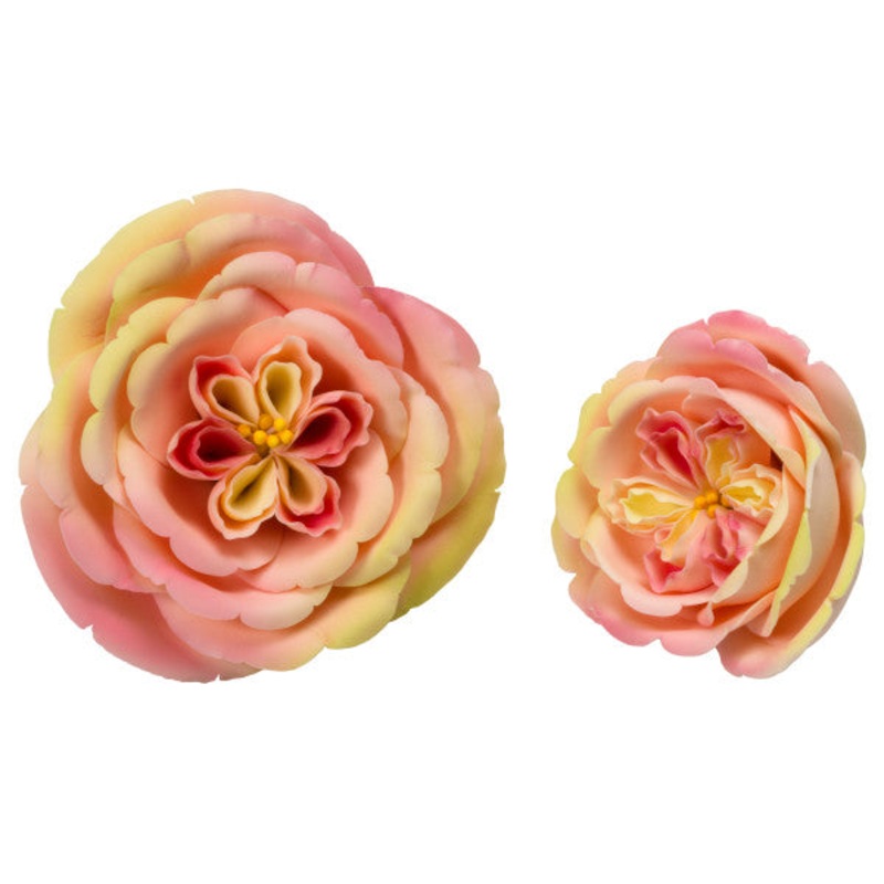 Apricot Nectar Rose Flower Large or Small