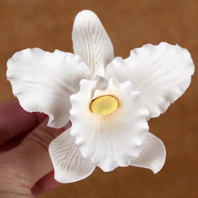 Cattleya Orchid White Gumpaste Flowers
