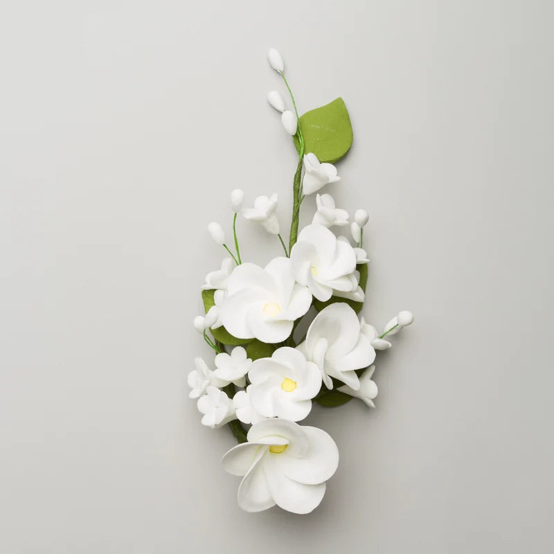 Frangipani Plumeria Filler #39