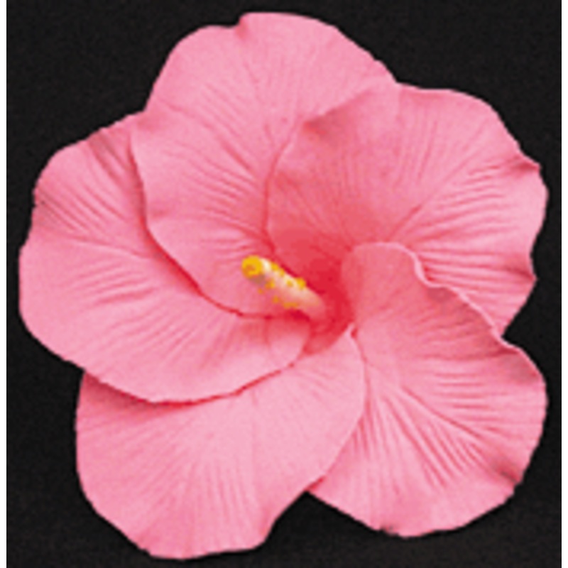 Hibiscus Gumpaste Flowers