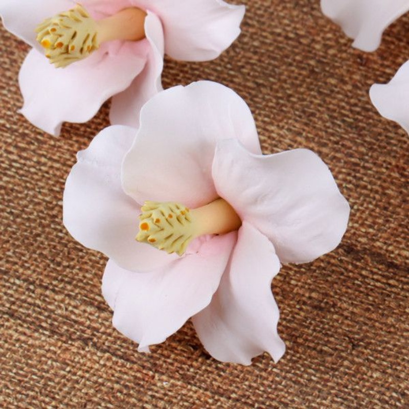 Hybiscus Single Pink or White