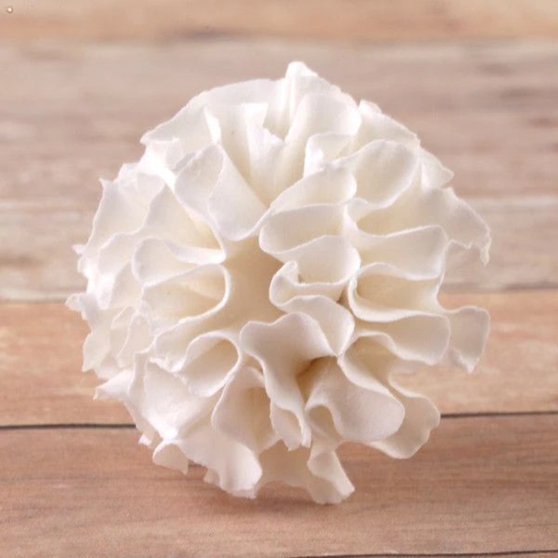 Large Carnation Loose White #48