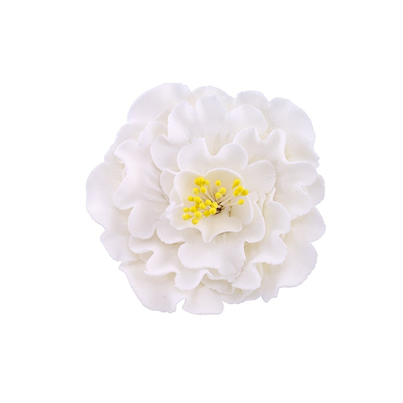 Large Peony Blossom White or Pink Yellow Stamens