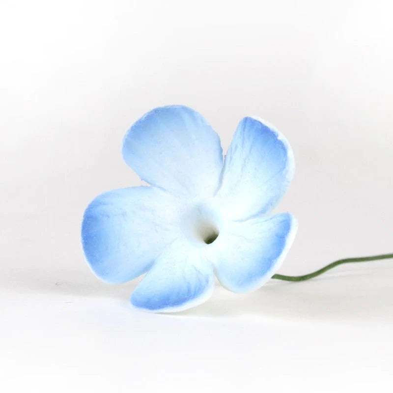Periwinkle Flowers #74