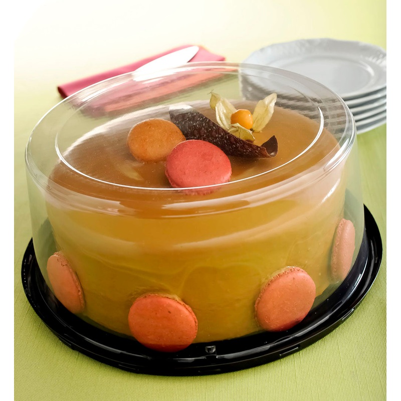 10' Smooth Cake Dome 11.6'x5.1'