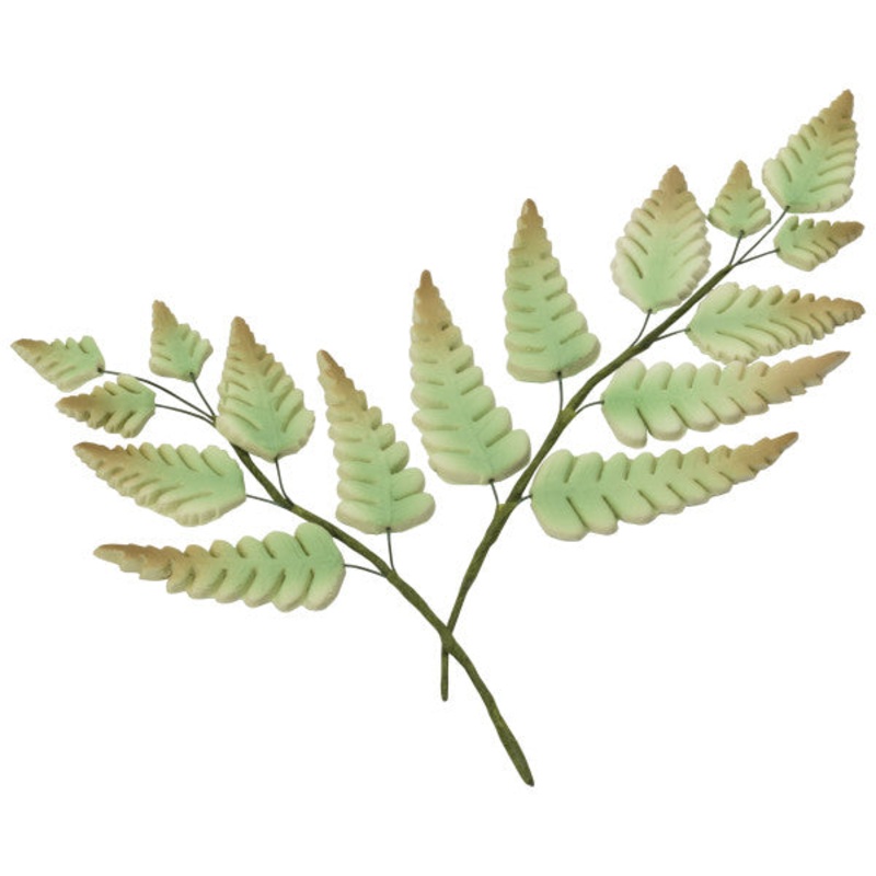 165 - Fern Leave