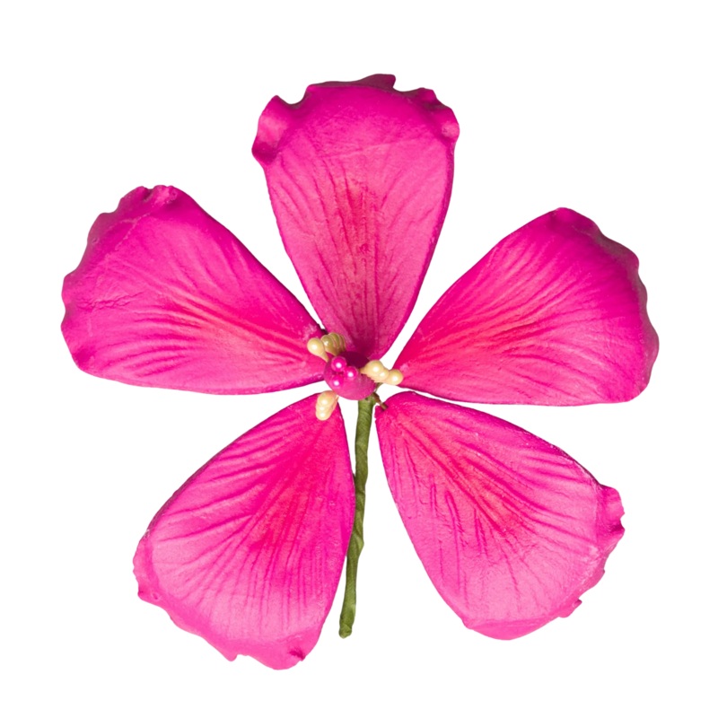 226 - Hot Hibiscus 3.5'