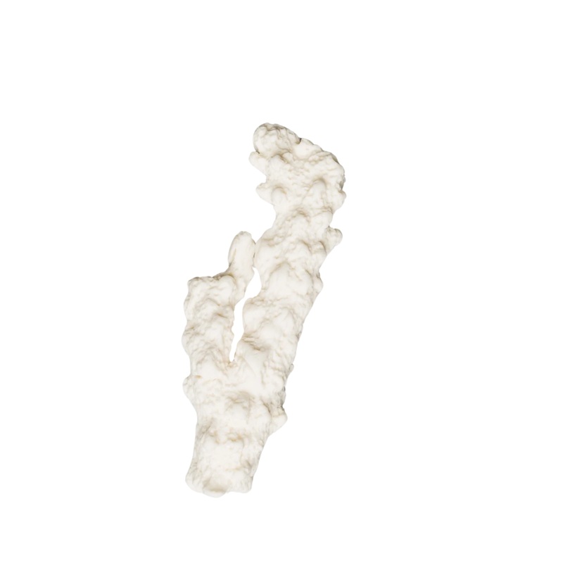 227 - Large Coral 4'