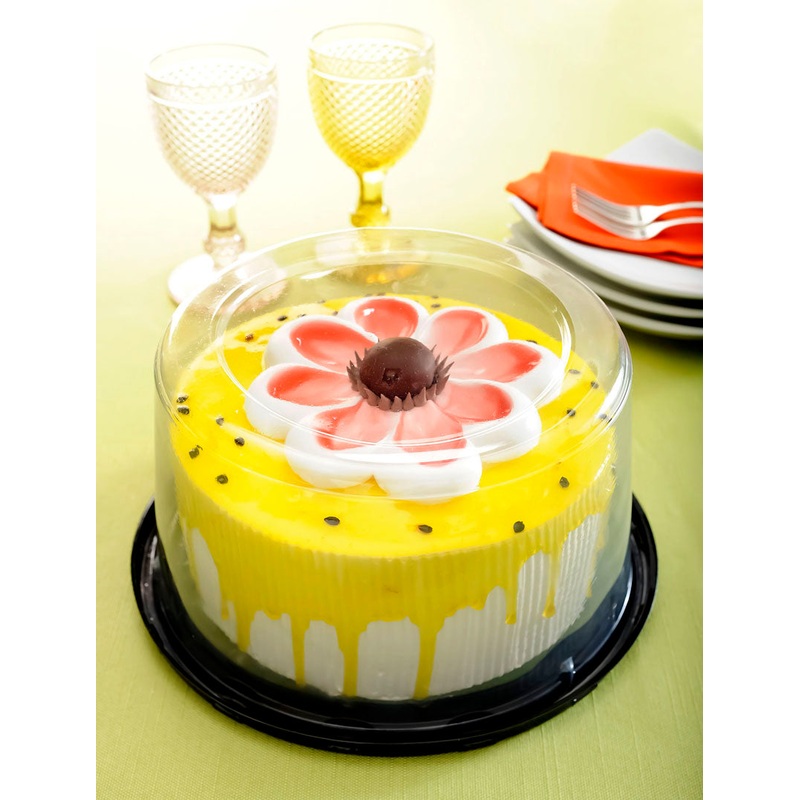 8' Cake Dome 9'x5'