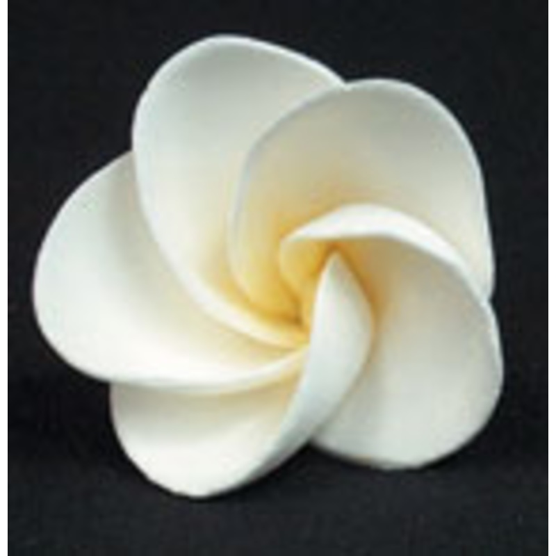 Frangipani Single Gumpaste Flower