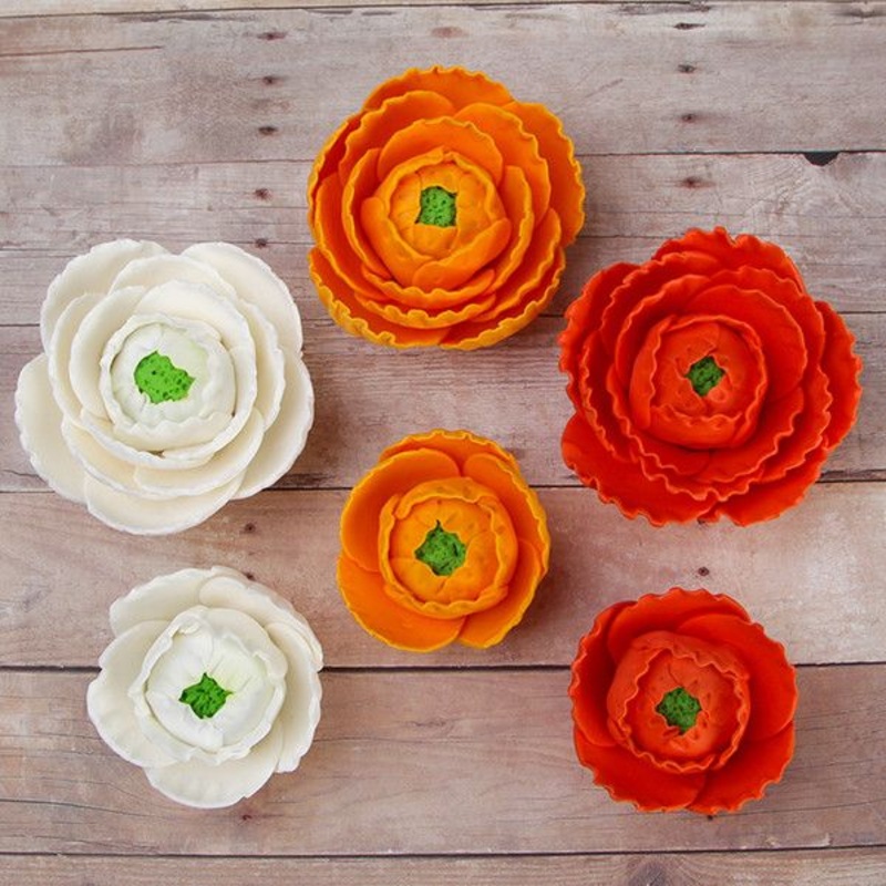 Ranunculus Flowers Deep Orange, Orange, and White #42