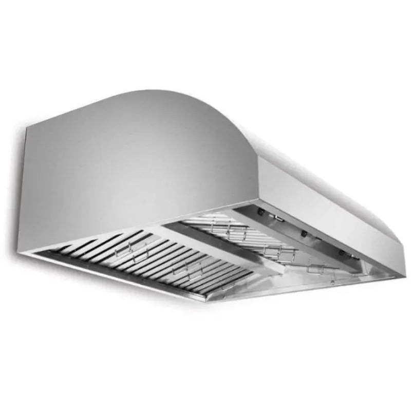 Blaze 42" Outdoor Wall Vent Hood