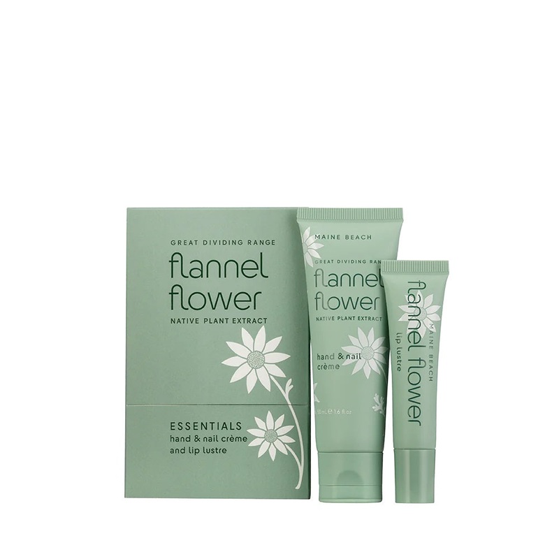 Maine Beach Flannel Flower - Essentials Pack