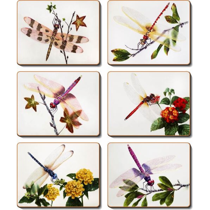 Cinnamon 'Delicate Wings' Placemats Set of 6