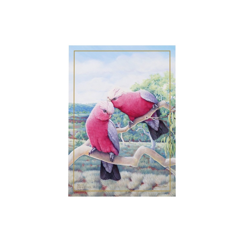 MW Birds of Australia KC 10yr Anniversary Tea Towel 50x70cm Galah