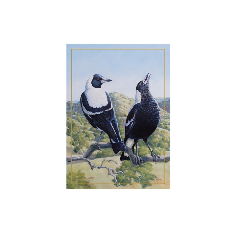 MW Birds of Australia KC 10yr Anniversary Tea Towel 50x70cm Magpie